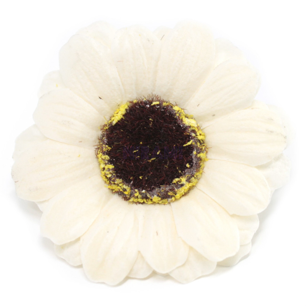 Flor de Jabon girasol manualidades deco mediana - marfil