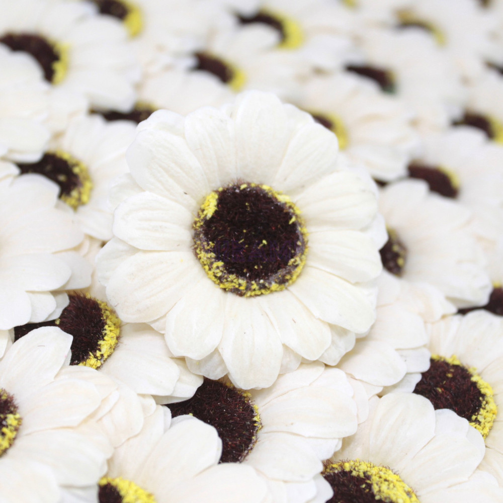 Flor de Jabon girasol manualidades deco mediana - marfil