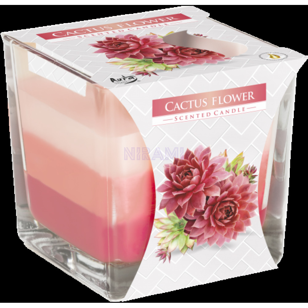  Flor cactus - Rainbow Jar Vela