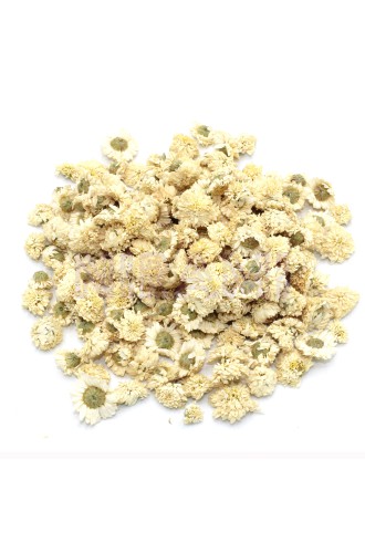 Manzanilla romana (flor) 1Kg