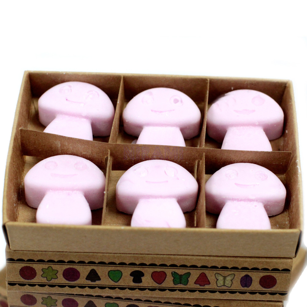 Ylang Ylang - Caja de 6 ceras de Soja 