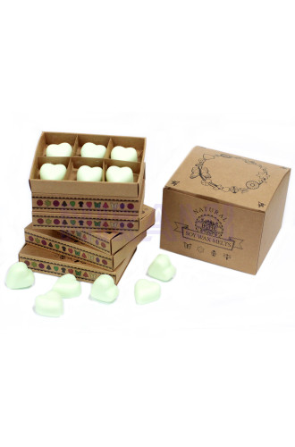 Menta y mentol - Caja de 6 ceras de Soja 