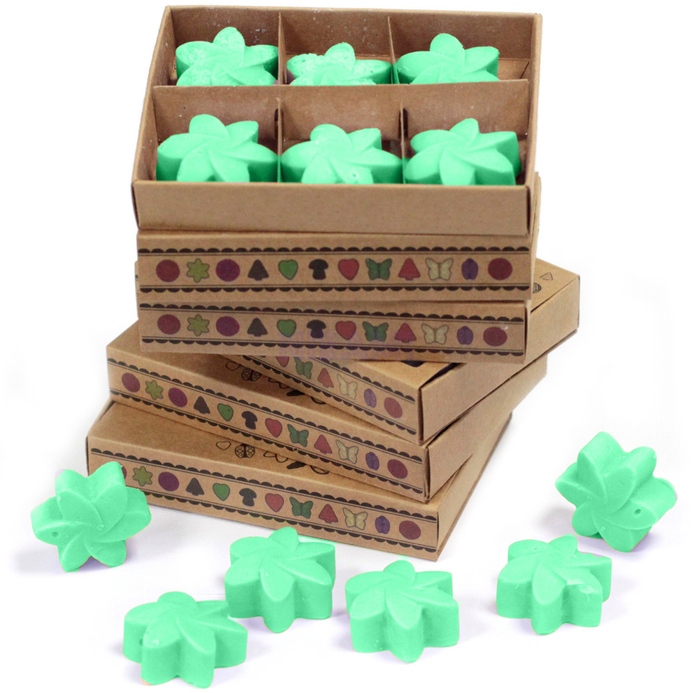 Jardín escondido - Caja de 6 ceras de Soja 