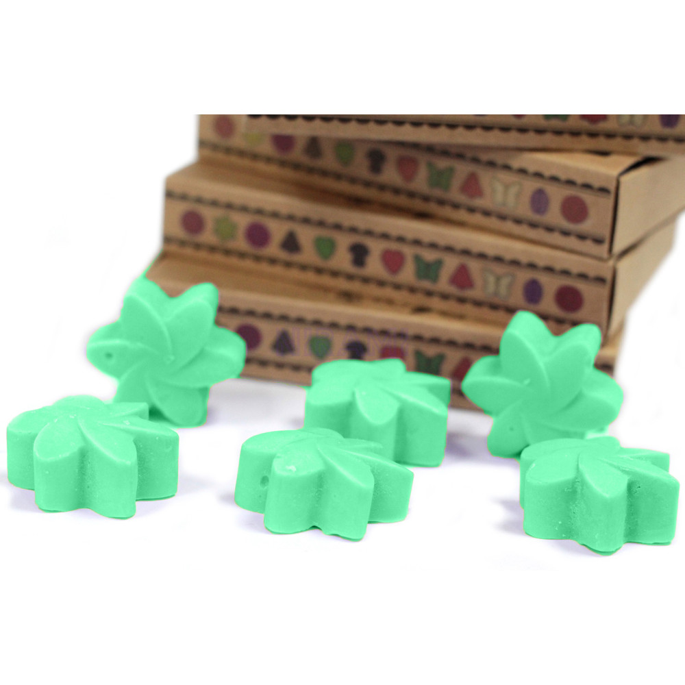 Jardín escondido - Caja de 6 ceras de Soja 