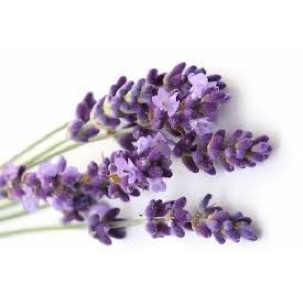 Barra Jabon Lavanda - Azul - Aromaterapia 2Kg