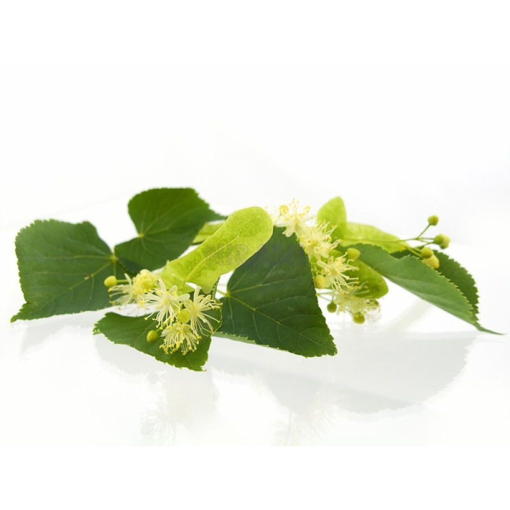 Barra Jabon Árbole de Té - Verde - Aromaterapia 2Kg