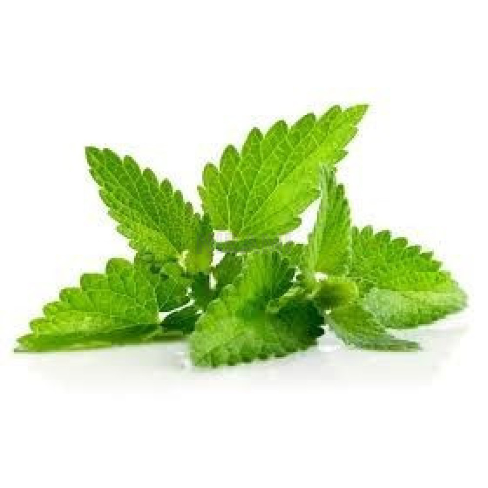 Barra Jabon Menta - verde claro - Aromaterapia 2Kg